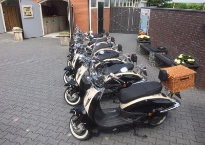 Dagje weg volwassenen